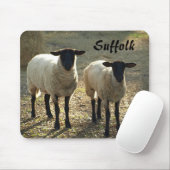 Suffolk-schapen Late Day Sunshine Barnyard Weiland Muismat (Met muis)