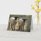 Suffolk Sheep Happy Birthday van ons tot ooi! Kaart (Gele Bloem)