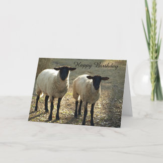 Suffolk Sheep Happy Birthday van ons tot ooi! Kaart