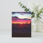 Suffolk Sunset before Dusk Briefkaart (Staand voorkant)