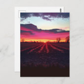 Suffolk Sunset before Dusk Briefkaart (Voorkant / Achterkant)