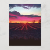 Suffolk Sunset before Dusk Briefkaart (Voorkant)