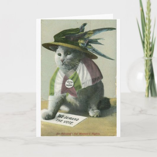  suffragette kat, kaart (Voorkant)