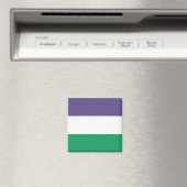 Suffragette vlag magneet (Insitu (Vaatwasser))