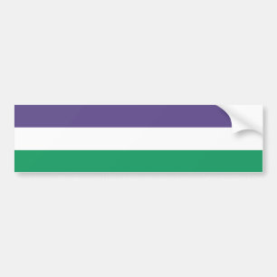 Suffragette Vlag Vrouwen Suffrage Pro-Choice Bumpersticker