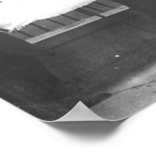 Suffragettes Picket het Witte Huis Poster (Hoek)