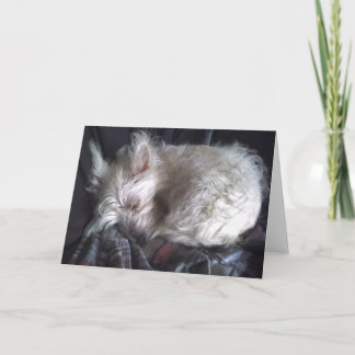 Sugar Beer Sleeping Wenskaart Kaart