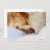 Sugar Booger Briefkaart (Voorkant / Achterkant)