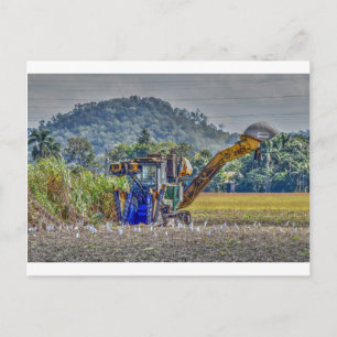 SUGAR CANE HARVESTOR QUEENSLAND AUSTRALIË BRIEFKAART