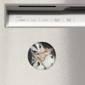 Sugar Glider Familie Met Joey Magneet (Insitu (Vaatwasser))