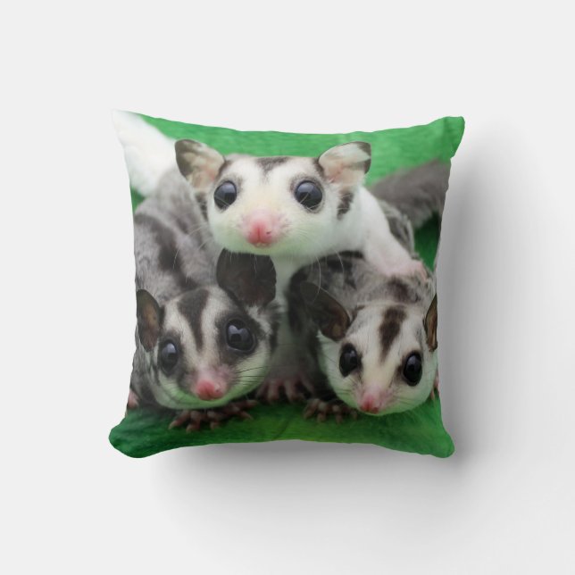 Sugar Glider Joey Trio Kussen (Voorkant)
