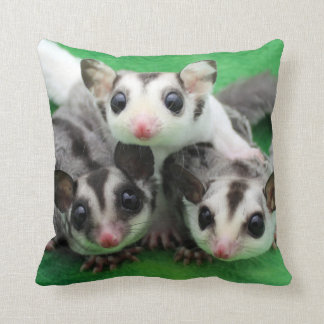 Sugar Glider Joey Trio Kussen
