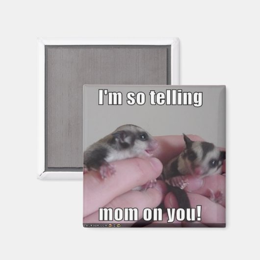 Sugar Glider Magnet (Voorkant / Achterkant)