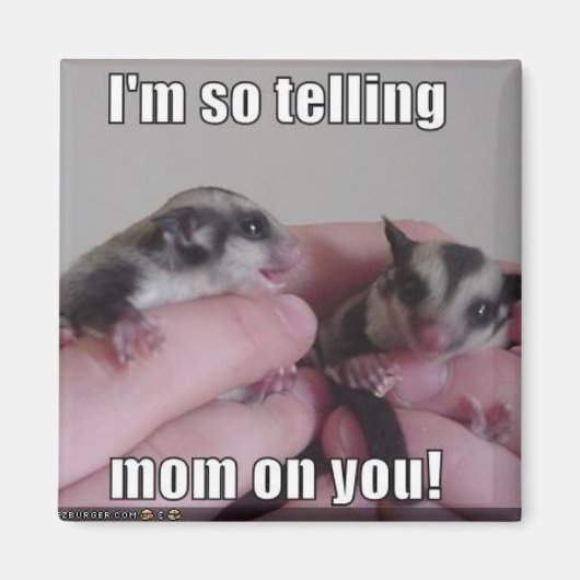 Sugar Glider Magnet (Voorkant)