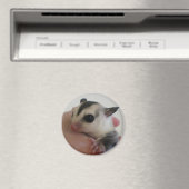 Sugar Glider Magnet (Insitu (Vaatwasser))