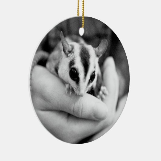 Sugar Glider-ornament Keramisch Ornament (Rechts)