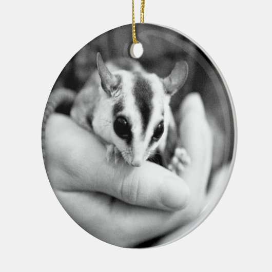 Sugar Glider-ornament Keramisch Ornament (Links)