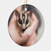 Sugar Glider-ornament Keramisch Ornament (Links)