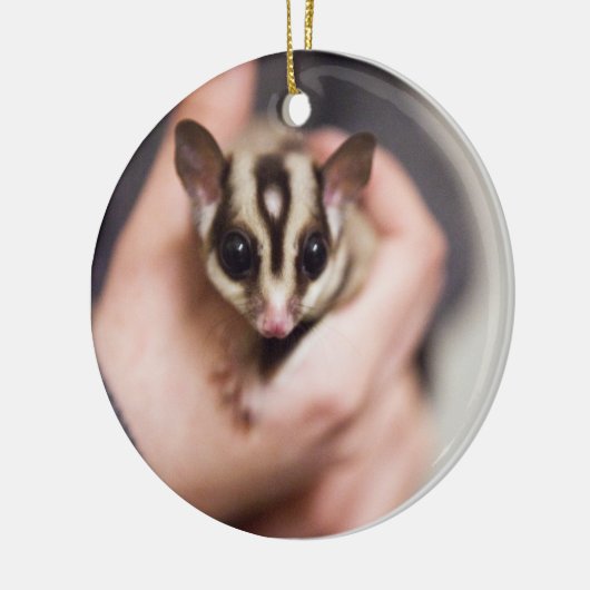 Sugar Glider-ornament Keramisch Ornament (Links)