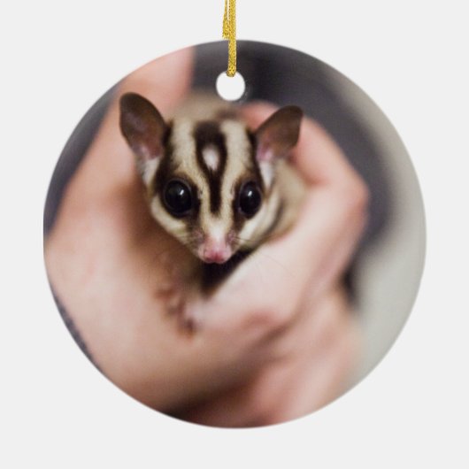 Sugar Glider-ornament Keramisch Ornament (Achterkant)