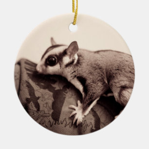 Sugar Glider-ornament Keramisch Ornament