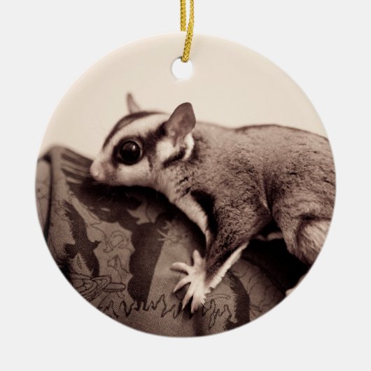 Sugar Glider-ornament Keramisch Ornament (Voorkant)