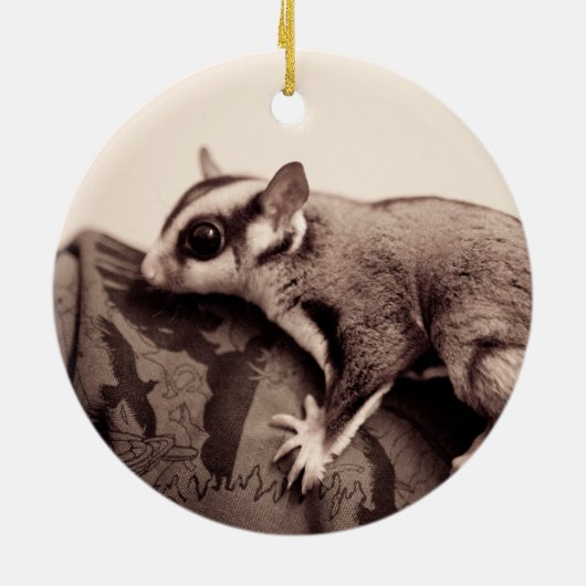 Sugar Glider-ornament Keramisch Ornament (Achterkant)