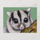 Sugar Glider Painting Briefkaart (Voorkant)
