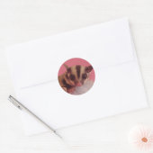 Sugar glider sticker (Envelop)