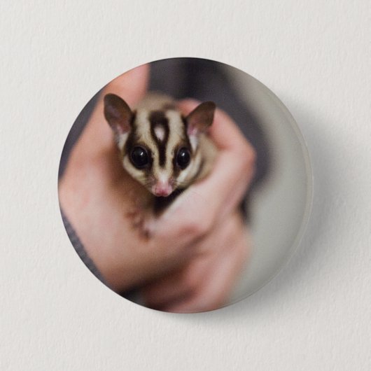 Sugar Glider-toets Ronde Button 5,7 Cm (Voorkant)