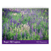 Sugar Hill Lupines Calendar Kalender (Hoes)