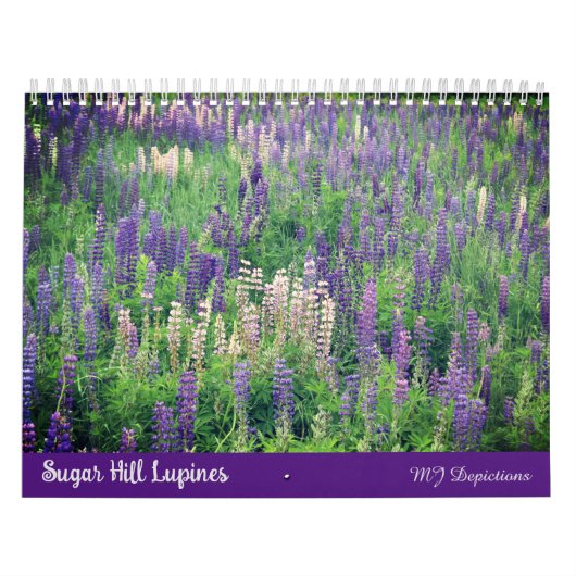 Sugar Hill Lupines Calendar Kalender (Hoes)