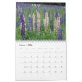 Sugar Hill Lupines Calendar Kalender (Jan 2026)