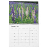 Sugar Hill Lupines Calendar Kalender (Jan 2027)