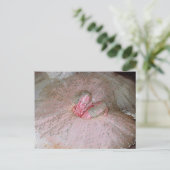 Sugar Plum Briefkaart (Staand voorkant)