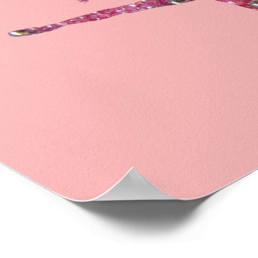 Sugar Plum Fairy Ballerina Poster (Hoek)