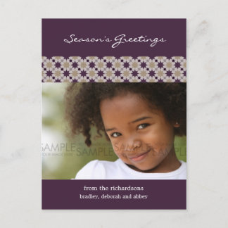 Sugar Plum Stars :: Kerstfoto Briefkaart