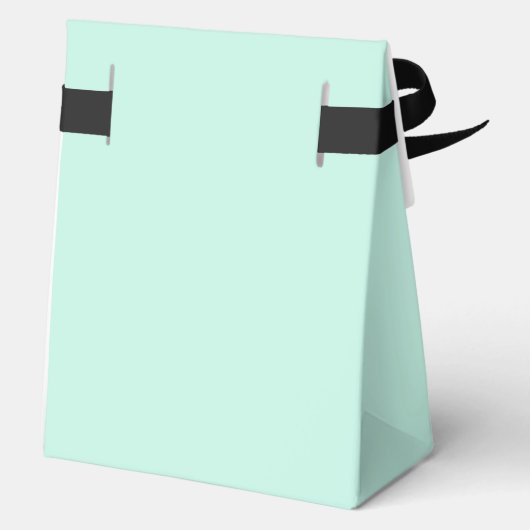 Sugar Skull Dia de Muertos Quinceañera Spaans Bedankdoosjes (Achterkant)