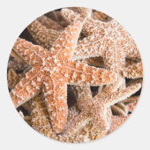 Sugar Starfish Round Sticker (Voorkant)