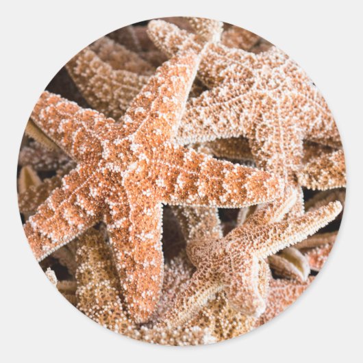 Sugar Starfish Round Sticker (Voorkant)