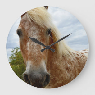Sugar The Appaloosa Horse, Large Round Wall Clock. Grote Klok