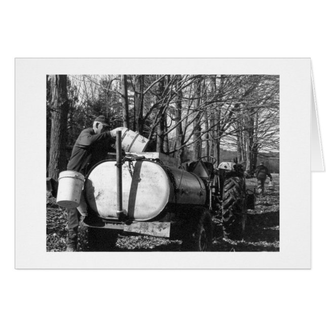 Sugaring Vermont (Voorkant Horizontaal)