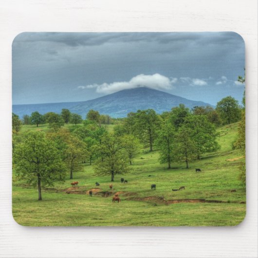 Sugarloaf Mountain Muismat (Voorkant)