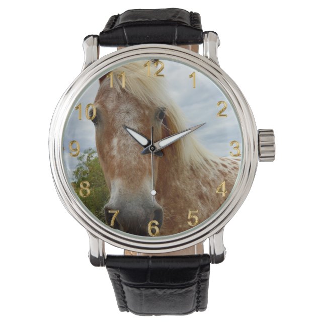 Sugar's Stride: De genade van de Appaloosa Horloge (Voorkant)