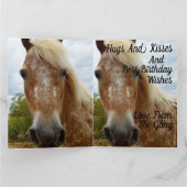 Sugar's Stride: De genade van de Appaloosa Kaart (Binnen)