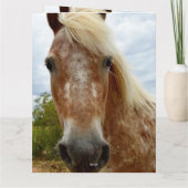 Sugar's Stride: De genade van de Appaloosa Kaart (Achterkant)