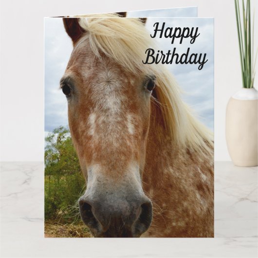 Sugar's Stride: De genade van de Appaloosa Kaart (Voorkant)