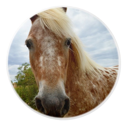 Sugar's Stride: De genade van de Appaloosa Keramische Knop (Voorkant)