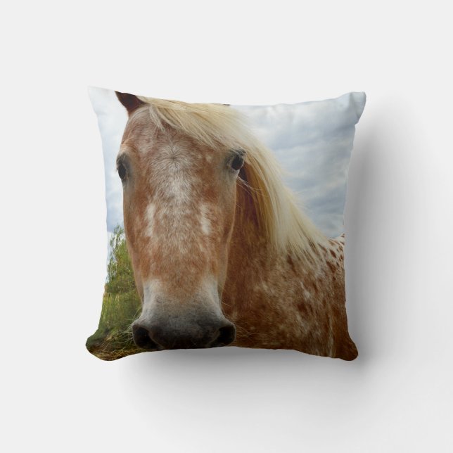 Sugar's Stride: De genade van de Appaloosa Kussen (Voorkant)