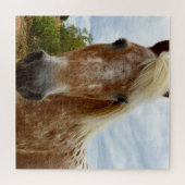 Sugar's Stride: De genade van de Appaloosa Legpuzzel (Horizontaal)